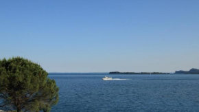 Гостиница Hotel Aquavite  Гардоне Ривьера